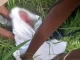 Na Bahia-Recém-nascido é encontrado abandonado em matagal com placenta e cordão umbilical