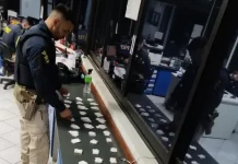 PRF apreende cerca de R$ 70 mil em cocaína em ônibus na BR-381