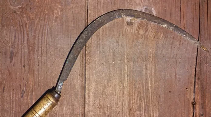 Filho mata pai que chegou em casa bêbado e tentou agredir a mulher