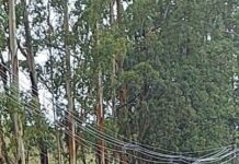 Quadrilha é presa em Santa Bárbara